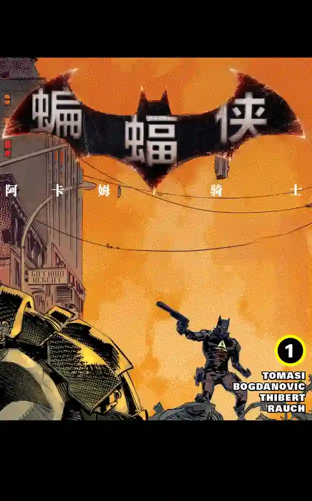 2015·阿卡姆骑士-彩 封面