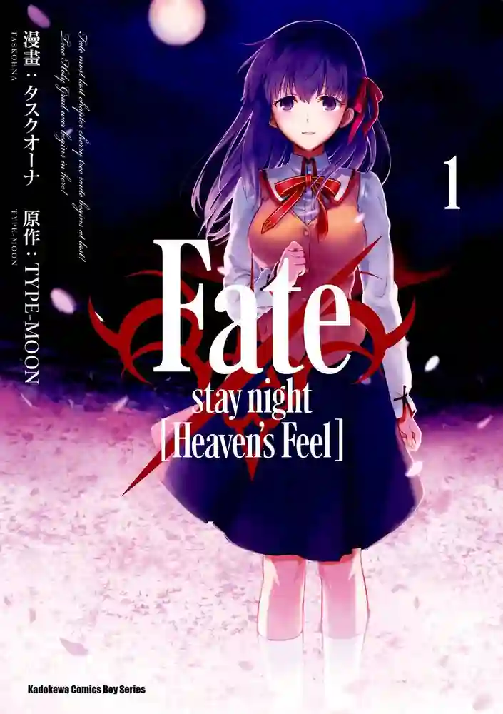 Fate stay night Heaven's Feel 封面