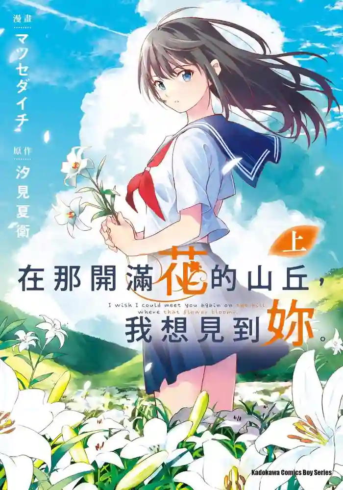 在那开满花的山丘,我想见到你 封面