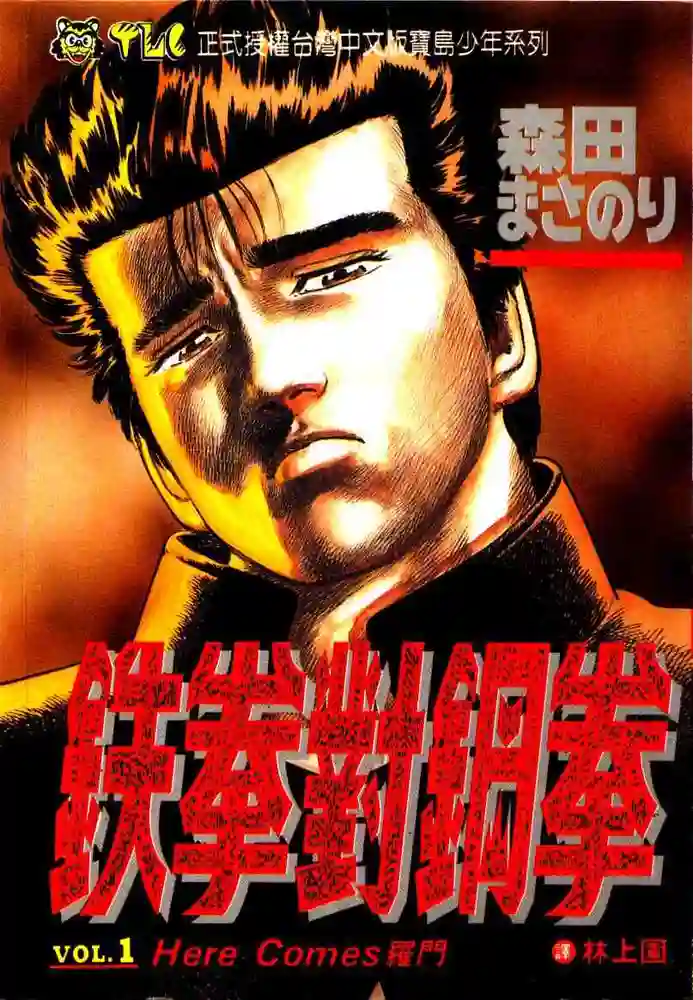 铁拳对钢拳 封面