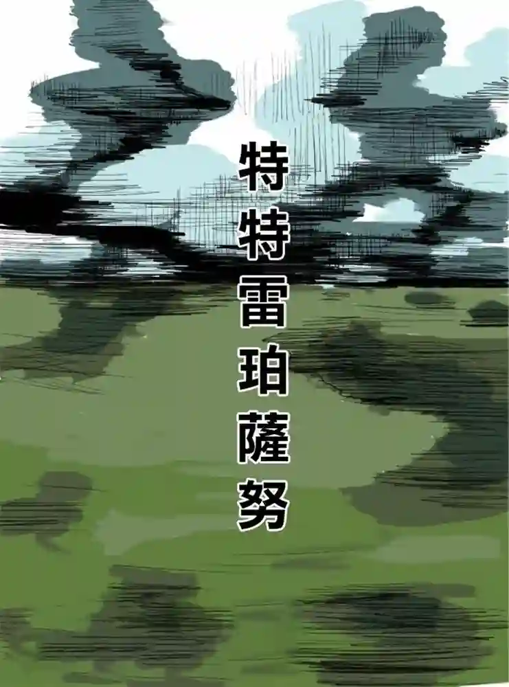 特特雷珀萨努 封面