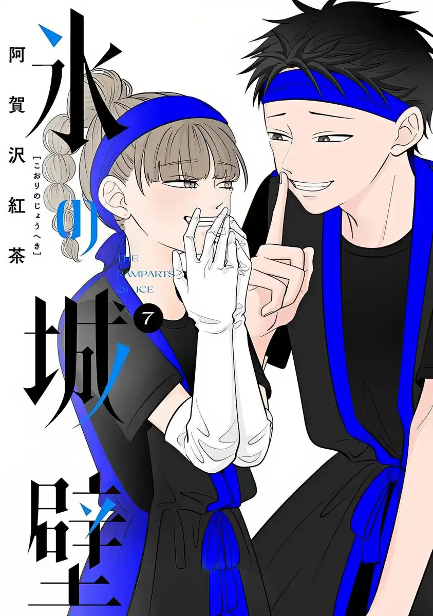 冰之城墙-彩 封面