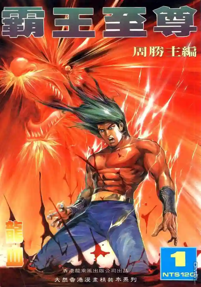 霸王至尊-彩 封面