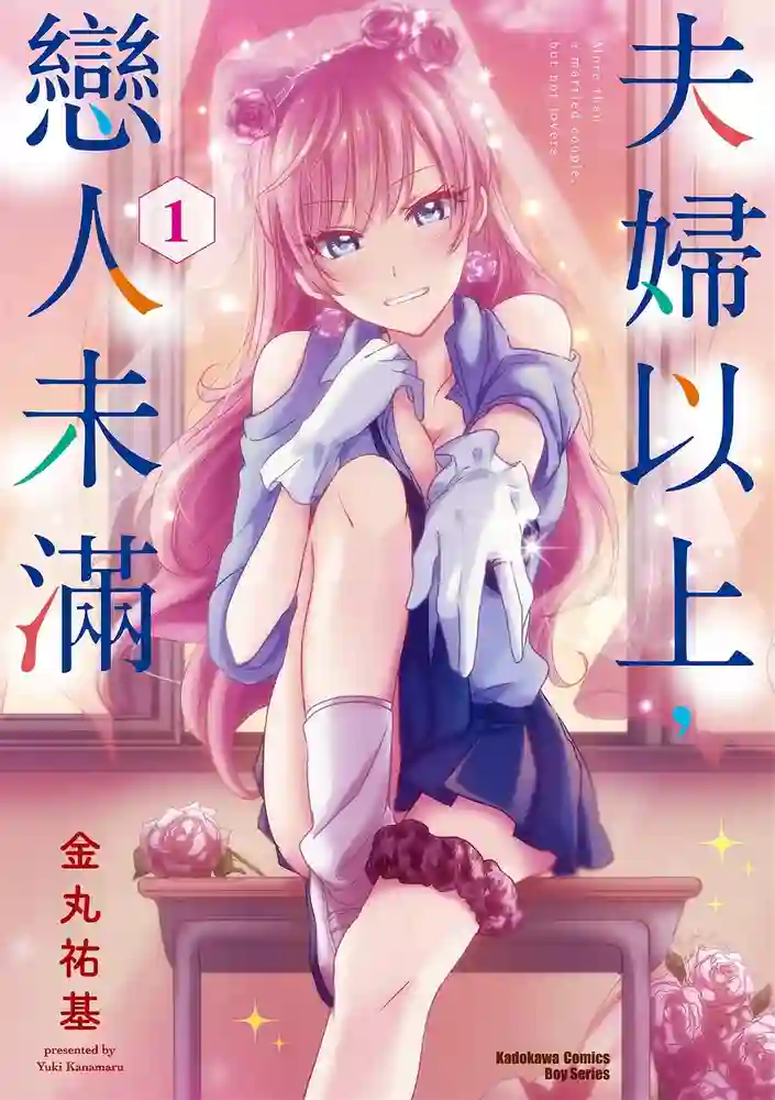 夫妇以上,恋人未满 封面