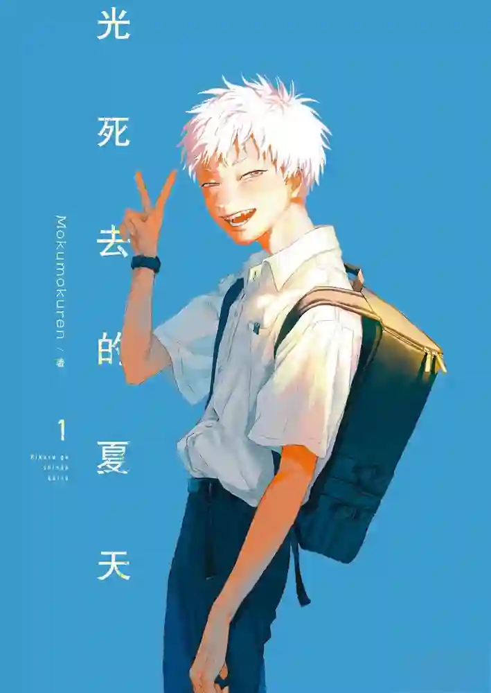 光死去的夏天 封面