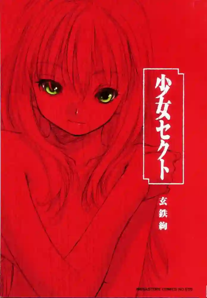 少女派别 封面
