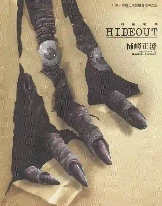 HIDEOUT凶洞疯劫 封面