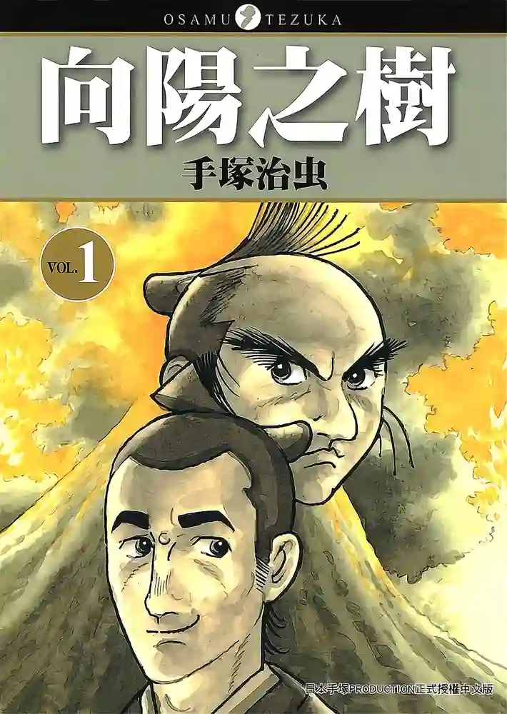 向阳之树 封面