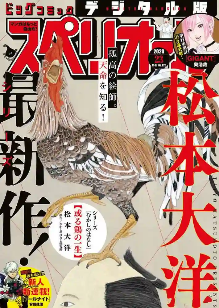 一只鸡的一生 封面