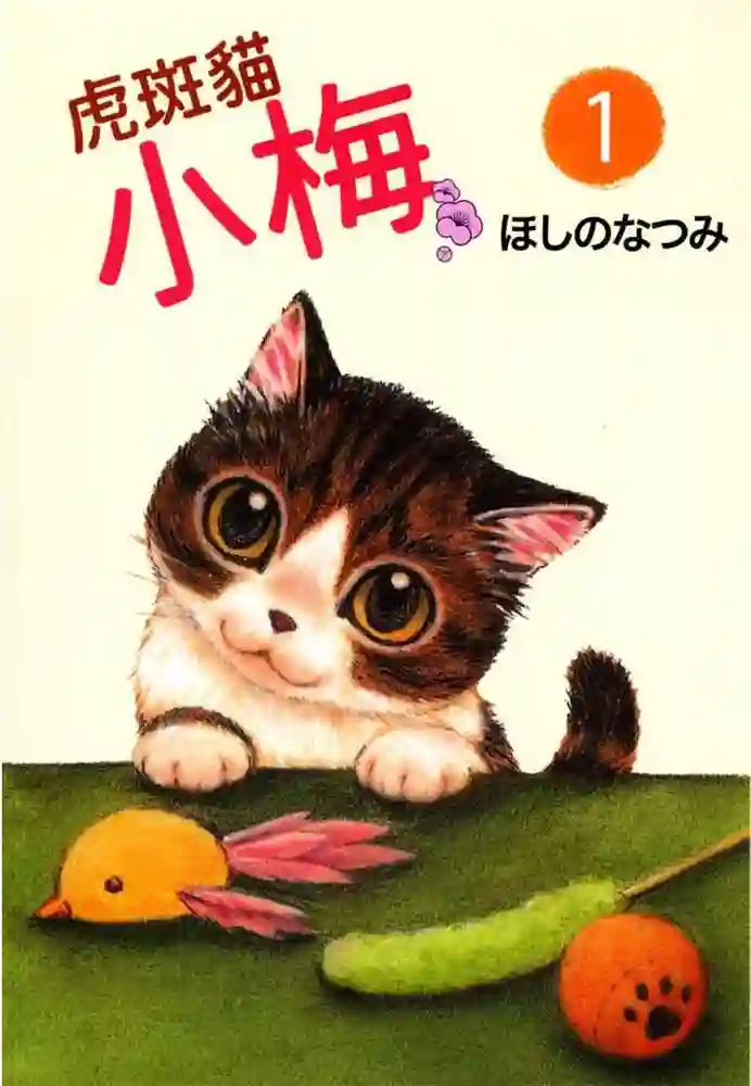 虎斑猫小梅 封面