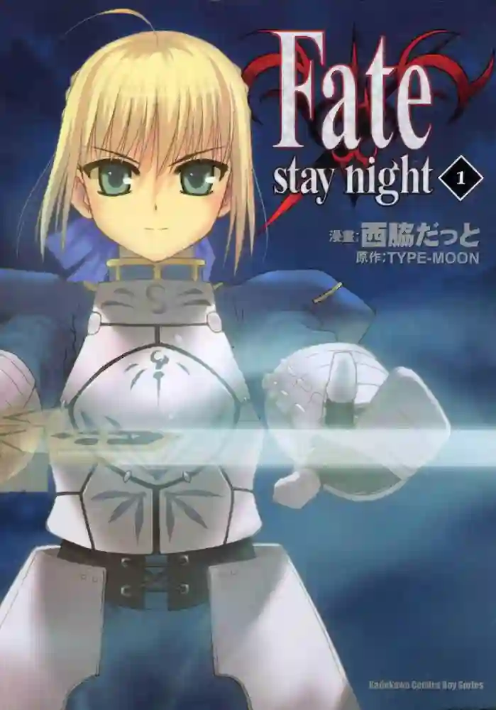 Fate Stay Night 封面
