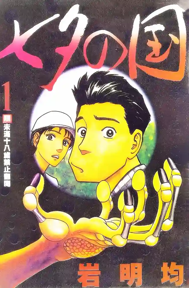 七夕之国 封面