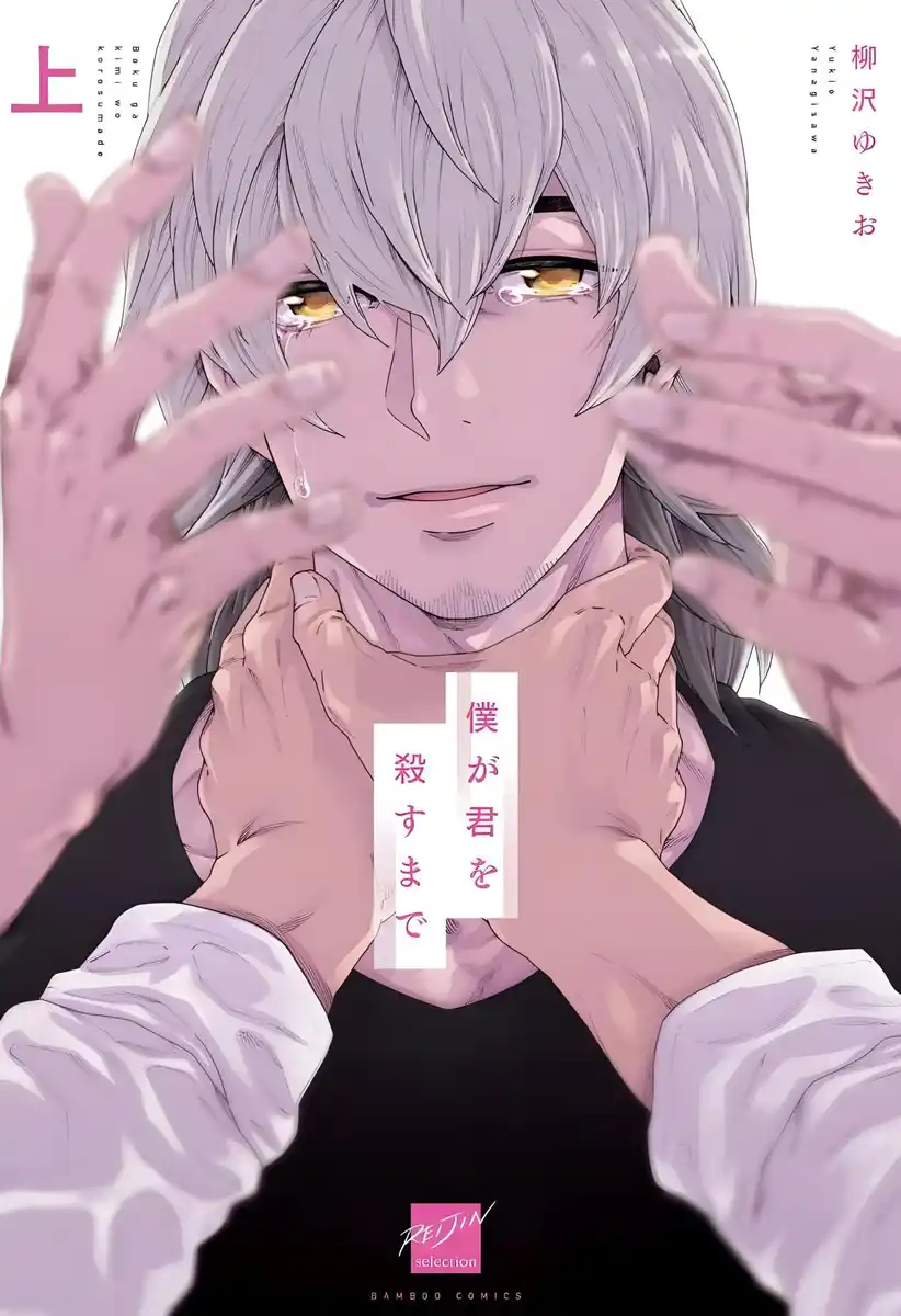 直到将你杀死 封面