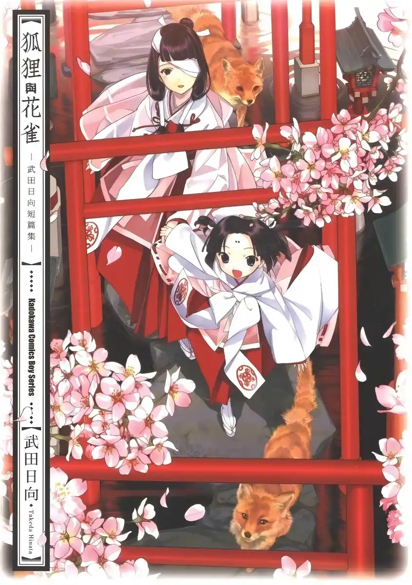 狐狸与花雀 封面