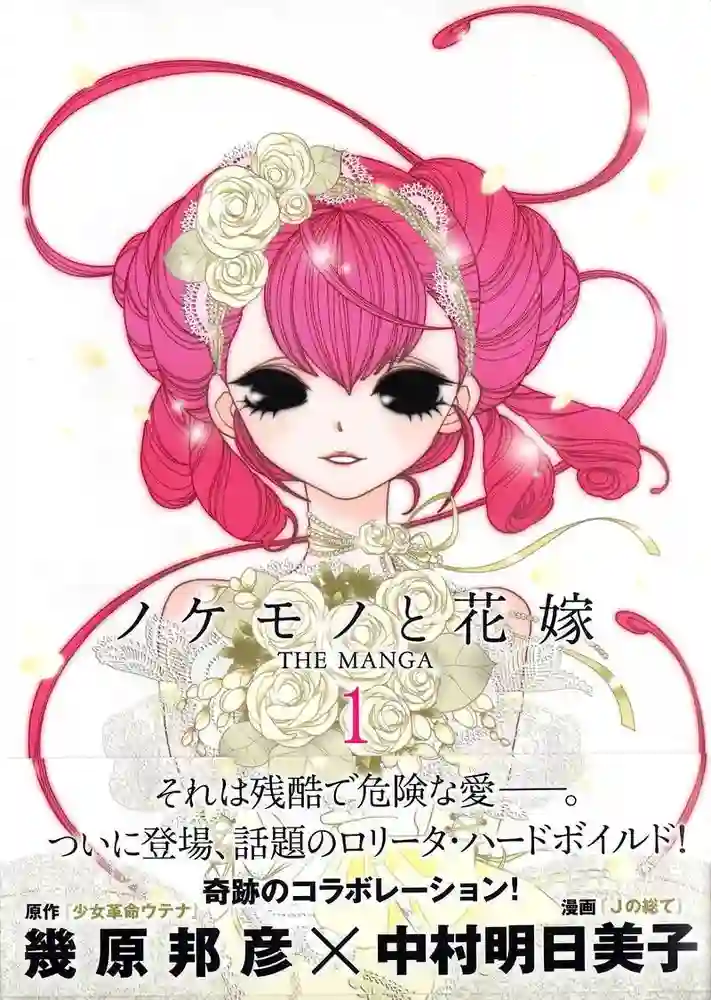 异端者与新娘 封面
