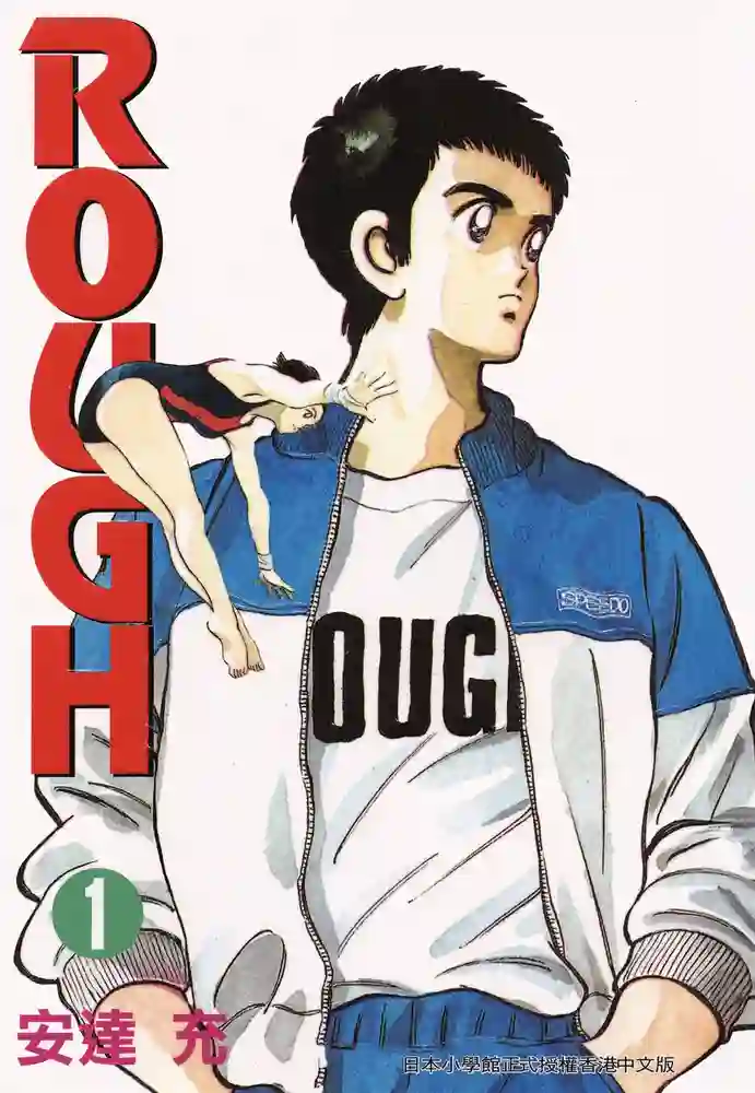 ROUGH 封面