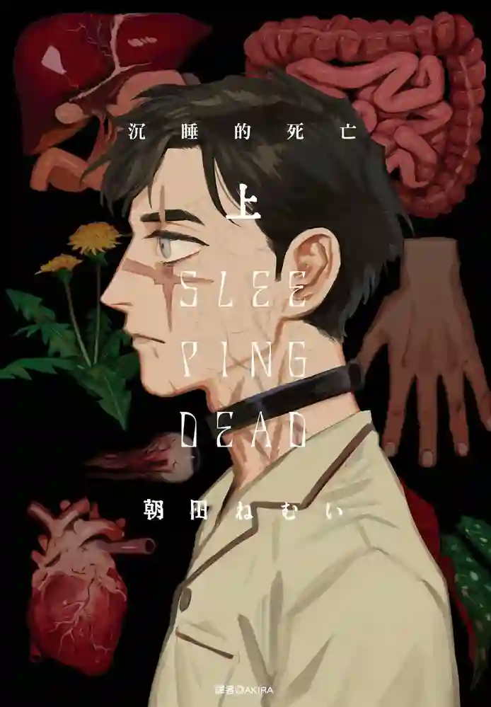 沉睡的死亡 封面