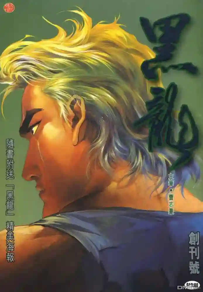 黑龙-彩 封面
