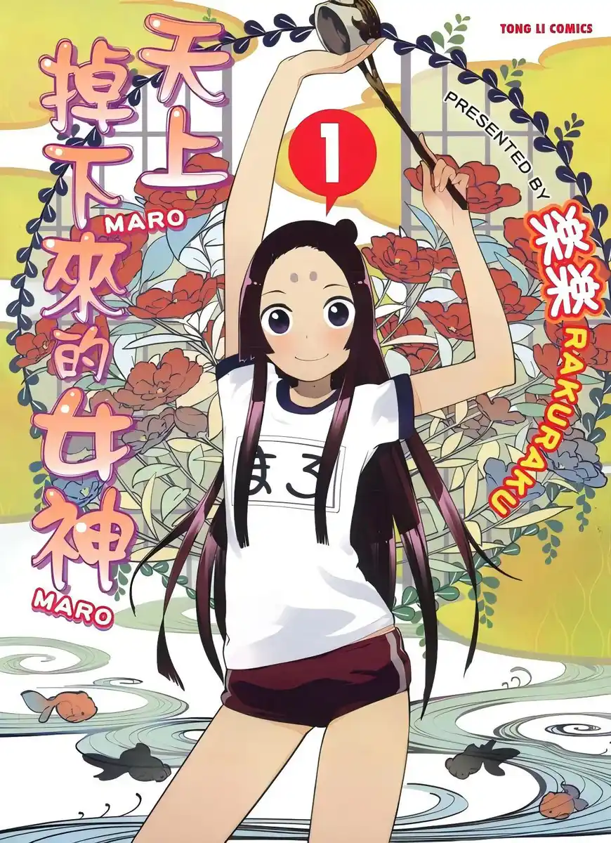 天上掉下来的女神 封面