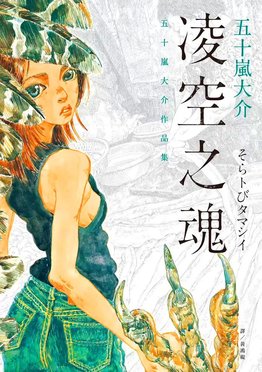 五十岚大介作品集 封面