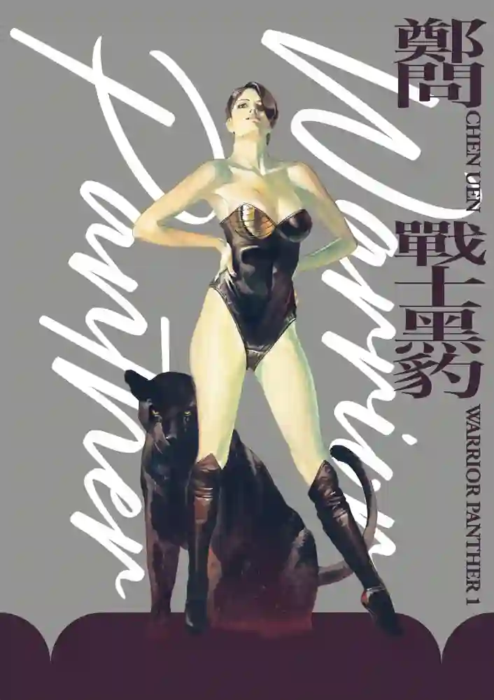 战士黑豹 封面