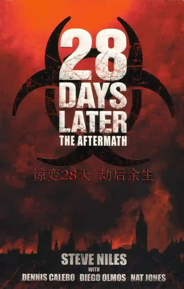 惊变28天 劫后余生-彩 封面