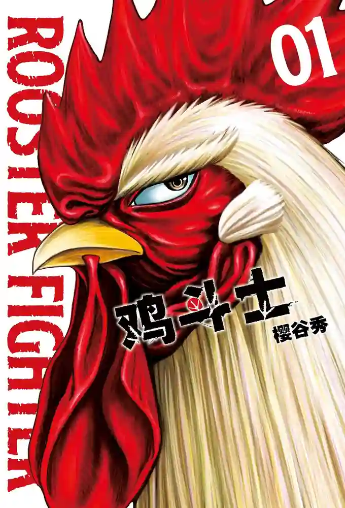 鸡斗士 封面