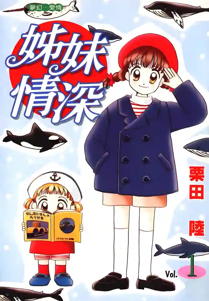姐妹情深 封面