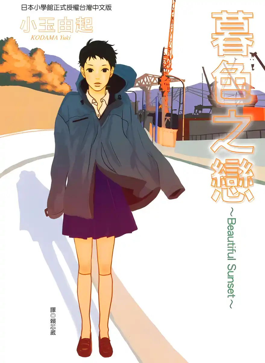 暮色之恋 封面