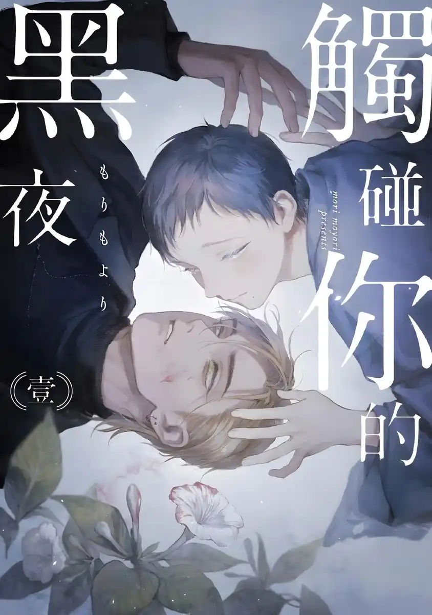 触碰你的黑夜 封面