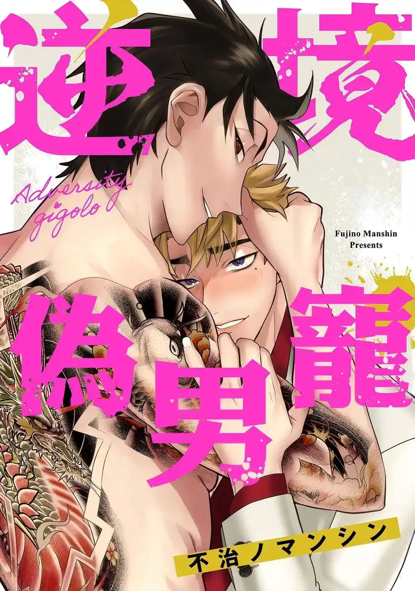 逆境伪男宠 封面