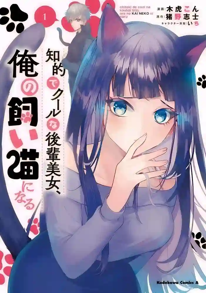 知性冰山美人学妹成了我的猫 封面