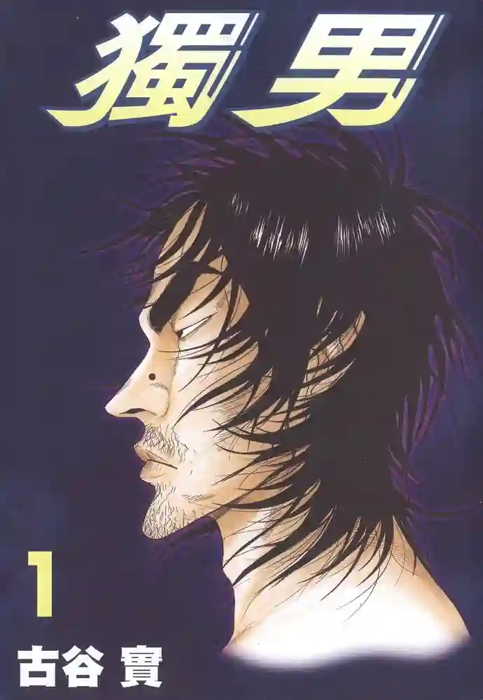 独男 封面