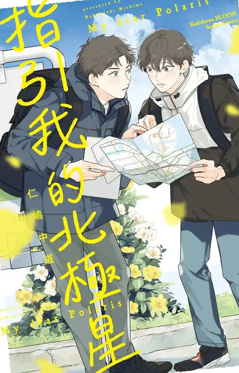 指引我的北极星 封面