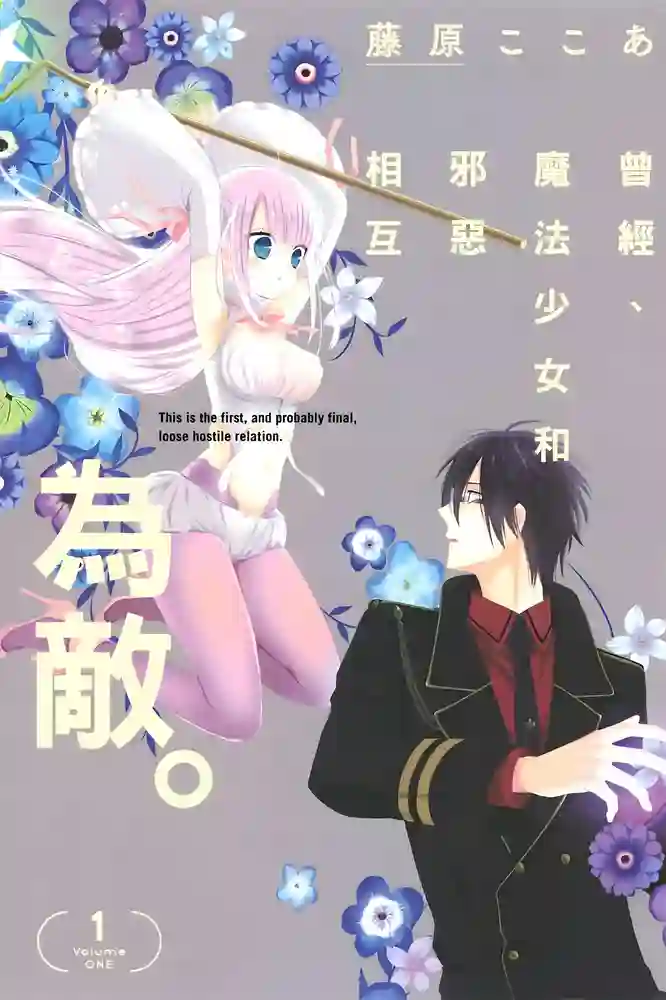魔法少女与恶曾是敌人 封面