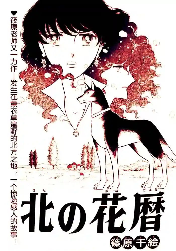 北之花历 封面