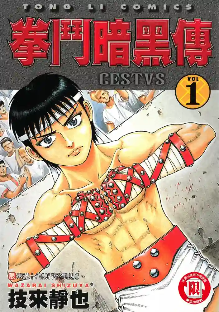 拳斗暗黑传 封面