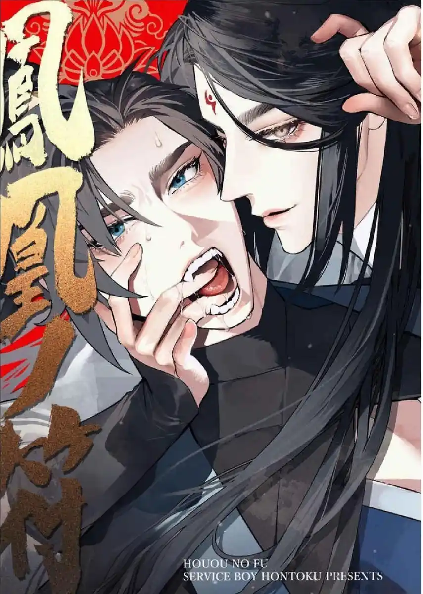 凤凰符 封面
